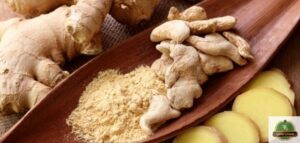 فوائد الزنجبيل