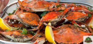 طريقة عمل الكابوريا